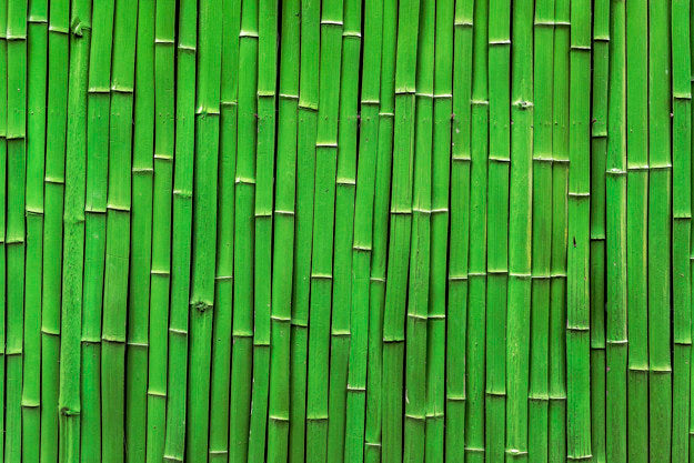 bambù prodotti ecologici ed eco sostenibili, cannucce e cotton fioc GUIDA