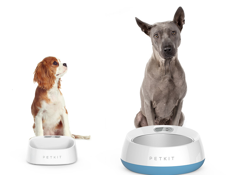 Ciotola Bilancia smart bowl | ciotola con bilancia integrata per cani Cibo per Cani Digitale - SilkWall