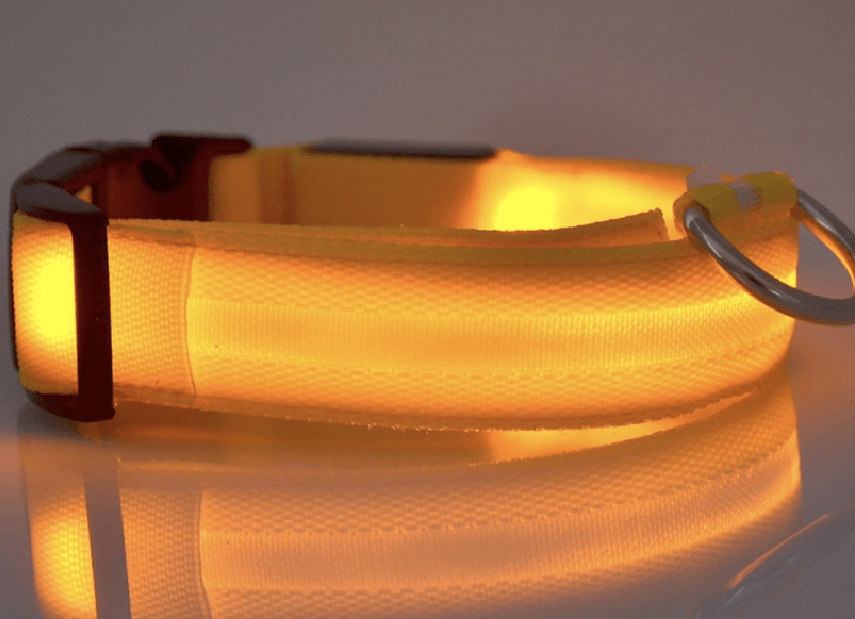 Collare LED per Animali, per Cani e Gatti Luminoso - SilkWall