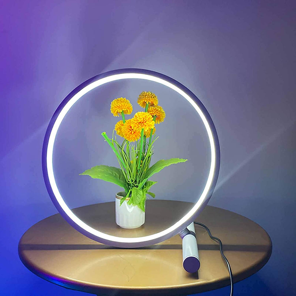 Lampada da Tavolo LED RGB Design Circolare Minimalista Moderna Multico